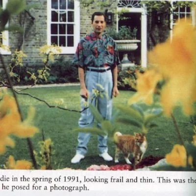 The last photo of Freddie Mercury